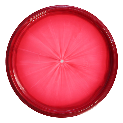 Fugitive (Fuzion Orbit) Dynamic Discs Disc Golf